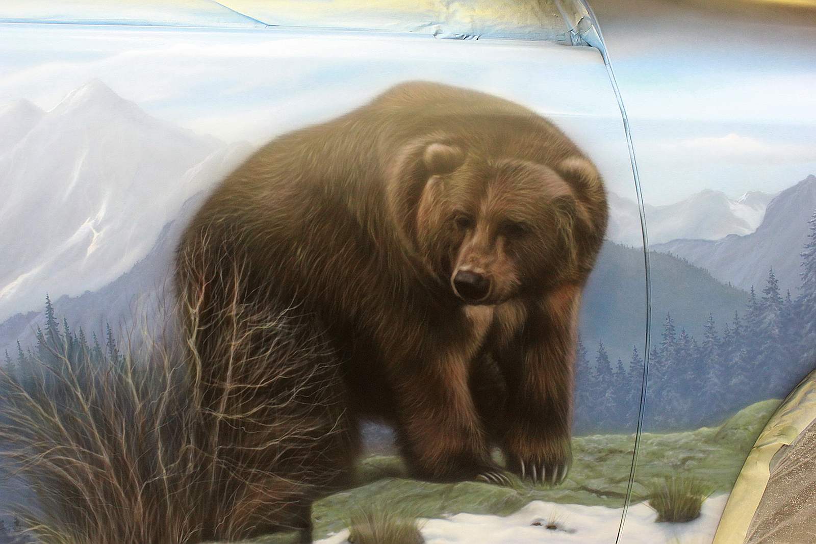Медведь на фоне гор
