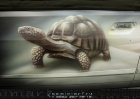 Черепахи(дизайн И.Козинов)