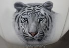 Белый тигр(дизайн И. Козинов)