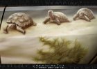 Черепахи(дизайн И.Козинов)